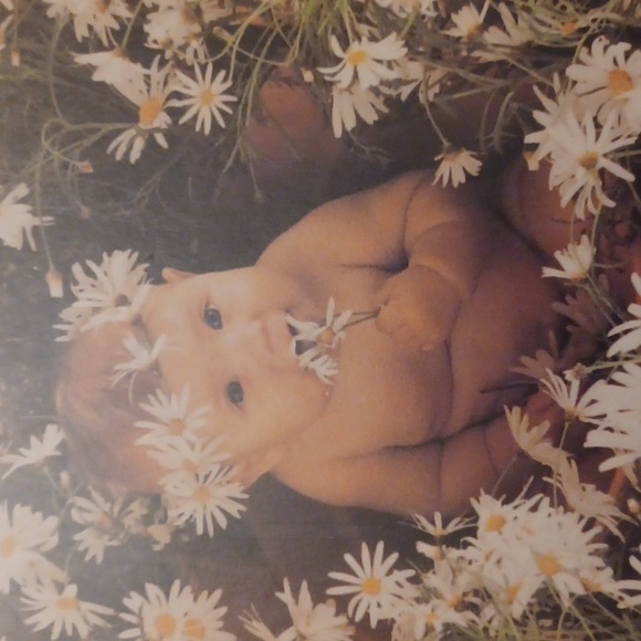 4/$40 Baby Wall Art (Anne Geddes) - Pressed Wood - Picture 4 of 8